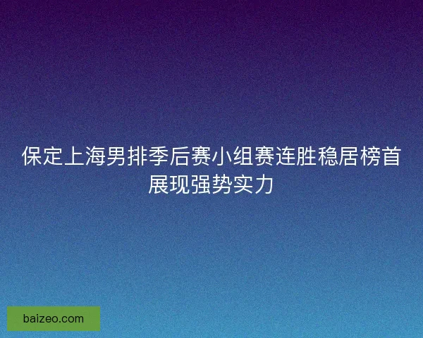 保定上海男排季后赛小组赛连胜稳居榜首展现强势实力