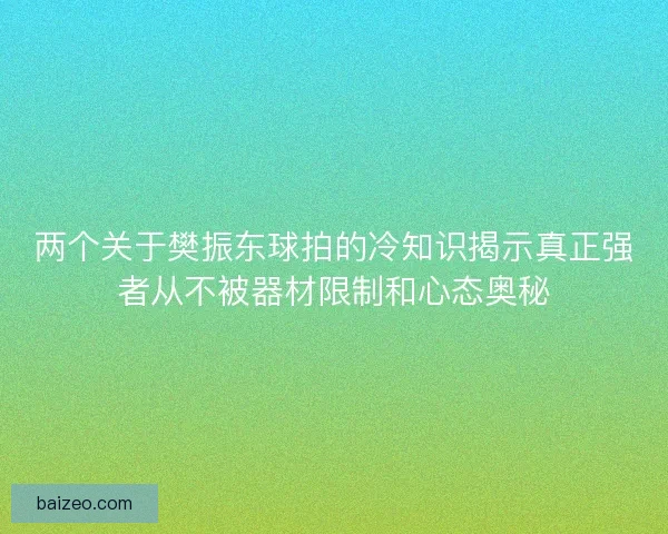 两个关于樊振东球拍的冷知识揭示真正强者从不被器材限制和心态奥秘
